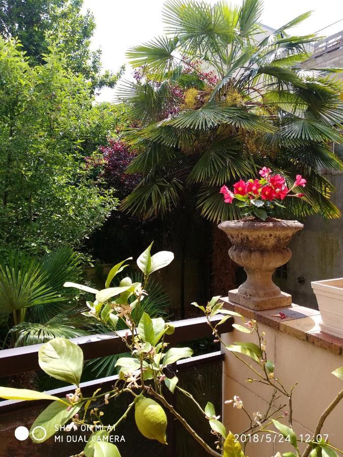 Appartement Charmant A Alfortville 30M² Terrasse Et Jardin Exterior foto